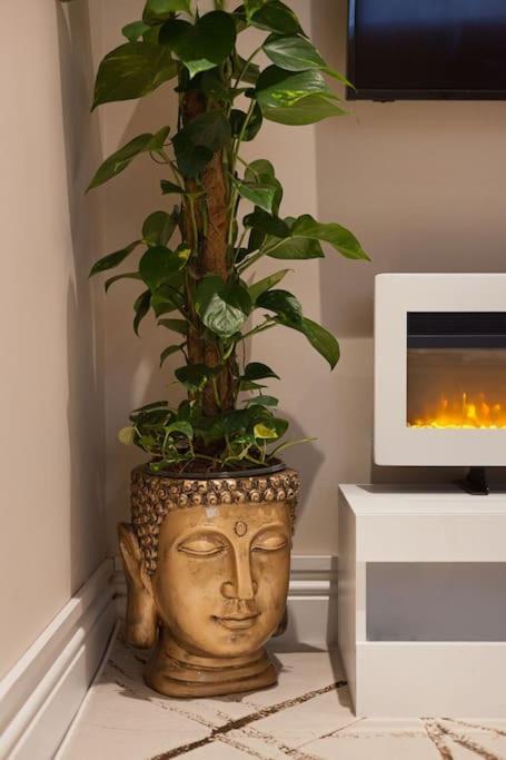 Apartmán Beautifully Decorated Centrally Located 2 Bed Flat Hove Exteriér fotografie